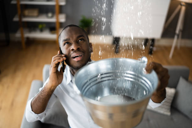 Best 24/7 water damage repair  in South Deerfield, MA