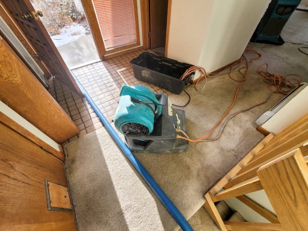 Best Ceiling water damage repair  in South Deerfield, MA