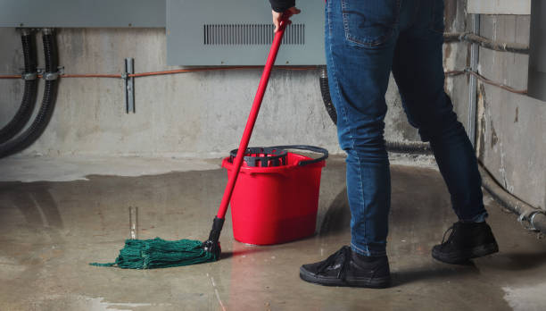 Best Water damage restoration cost  in South Deerfield, MA