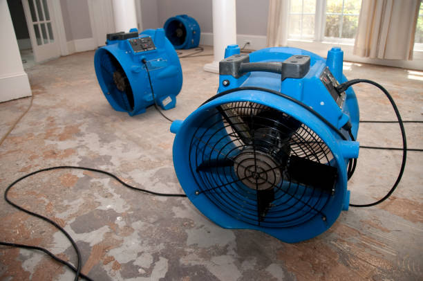 Local water damage restoration in MA